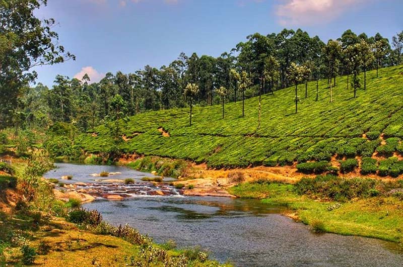 Koolanga-River-valparai