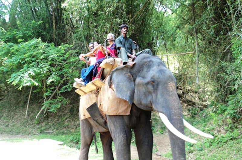 topslip-elephant-safari