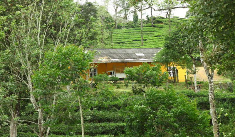 valparai-jungle-resort